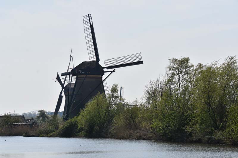 19-04-16_Holl_0062_GA2_7918