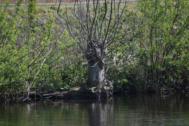 19-04-16_Holl_0081_GA2_7929