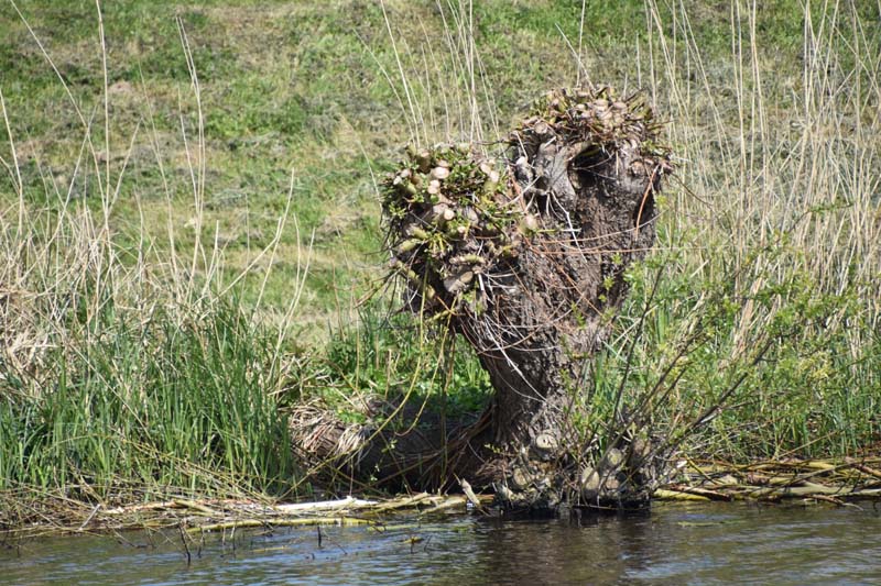 19-04-16_Holl_0209_GA2_8001