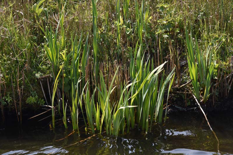 19-04-16_Holl_0251_GA2_8020