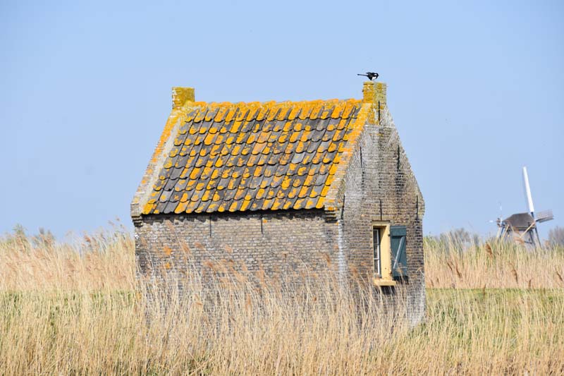 19-04-16_Holl_0253_GA2_8021