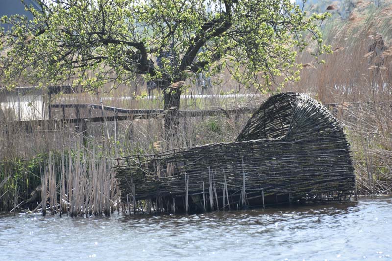 19-04-16_Holl_0312_GA2_8056