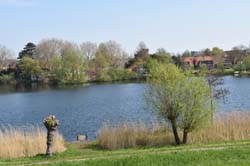 19-04-16_Holl_0032_GA2_7899