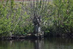 19-04-16_Holl_0081_GA2_7929