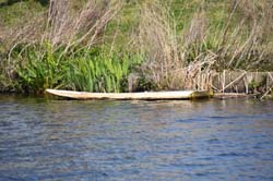 19-04-16_Holl_0200_GA2_7996