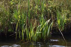 19-04-16_Holl_0251_GA2_8020