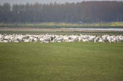 19-04-16_Holl_0396_GA2_8129