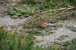 19-04-16_Holl_0443_GA2_8176