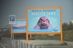 19-04-16_Holl_0483_GA2_8216